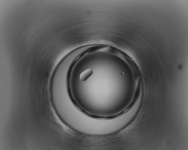 X0000089951046200707061116