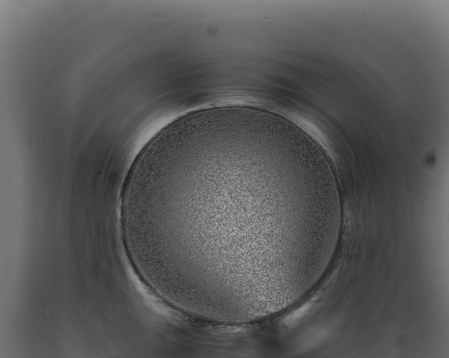 X0000089951047200707061116