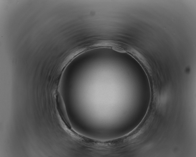 X0000089951049200707061117