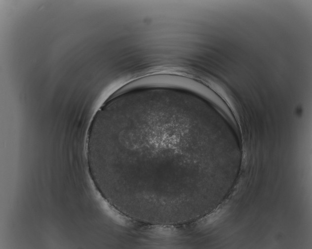 X0000089951050200707061117
