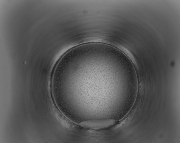 X0000089951051200707061117