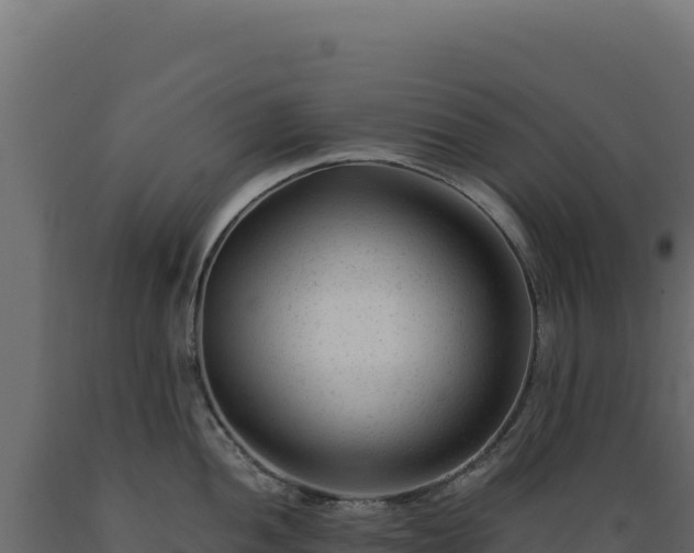 X0000089951052200707061117