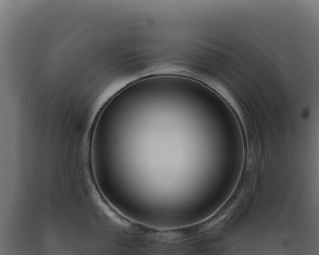 X0000089951053200707061117