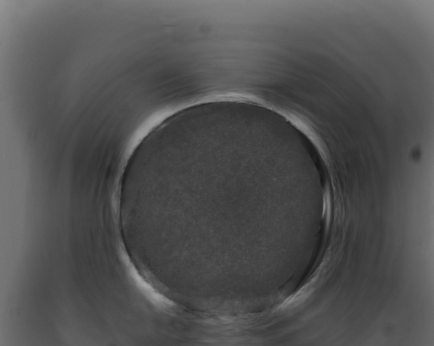 X0000089951054200707061117