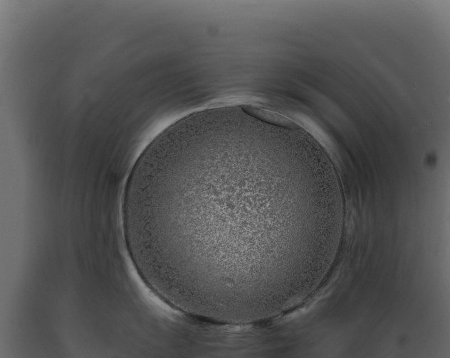 X0000089951055200707061117