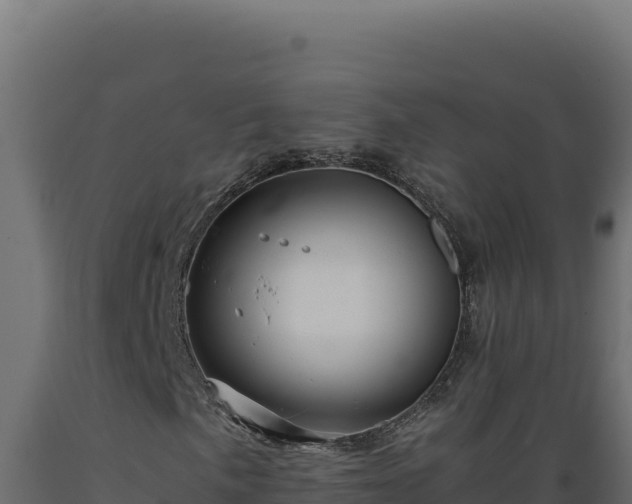 X0000089951057200707061116