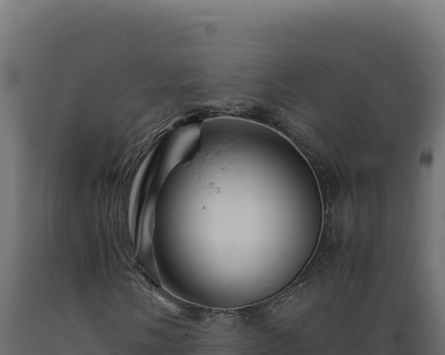 X0000089951058200707061116