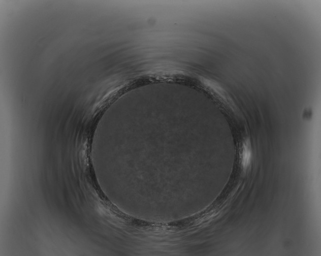 X0000089951060200707061116