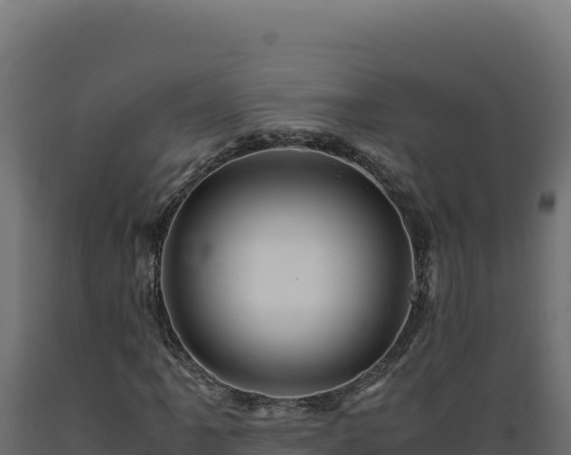 X0000089951061200707061116