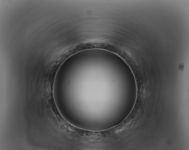 X0000089951062200707061116