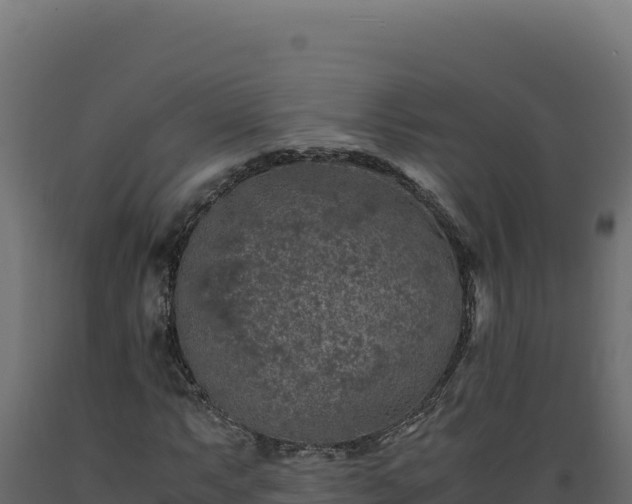 X0000089951063200707061116