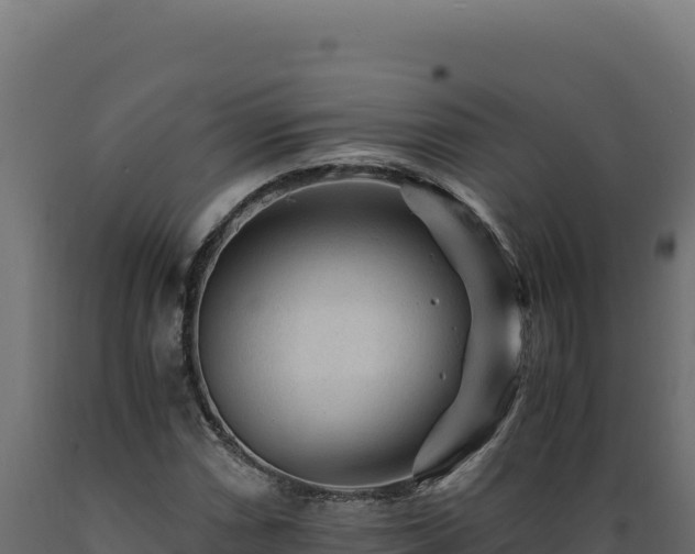 X0000089951066200707061116