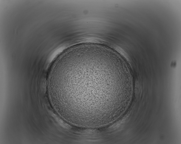 X0000089951067200707061116