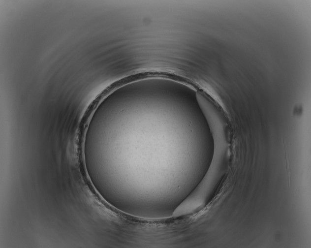 X0000089951068200707061116
