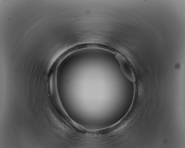 X0000089951069200707061116