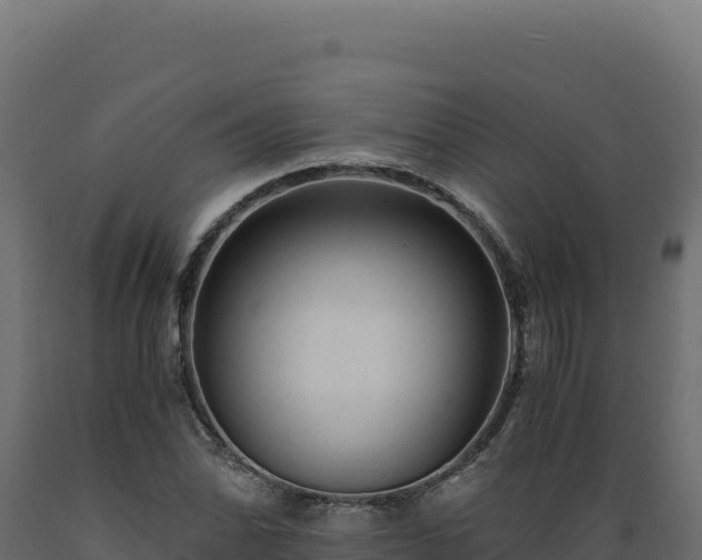 X0000089951070200707061116