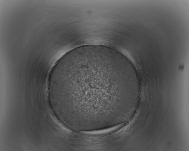 X0000089951071200707061116