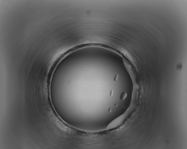 X0000089951072200707061116