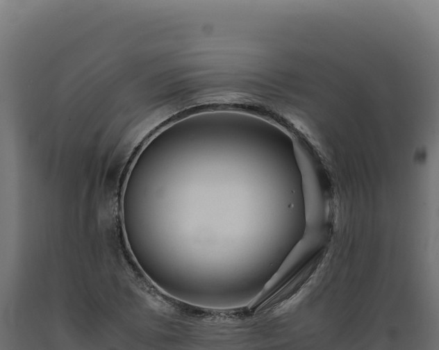 X0000089951073200707061116