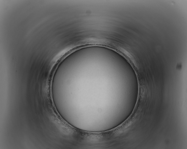 X0000089951074200707061116