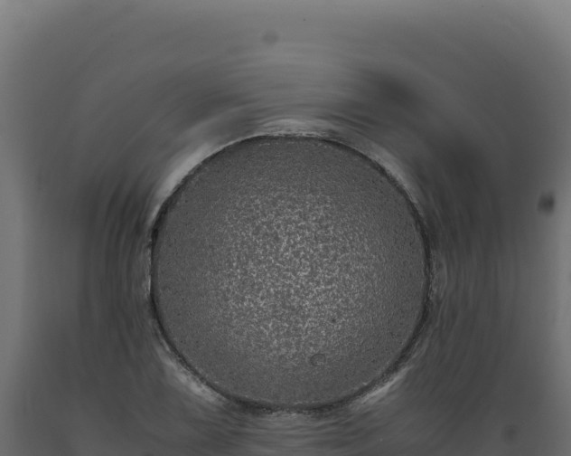 X0000089951075200707061116