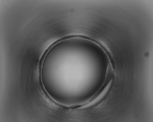 X0000089951076200707061116