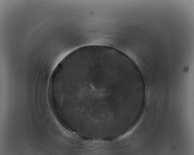 X0000089951077200707061116