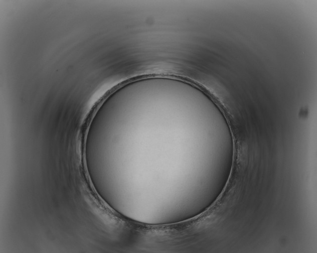 X0000089951078200707061116