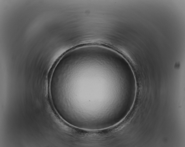 X0000089951079200707061116