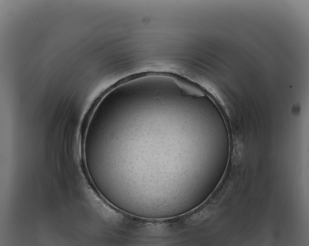 X0000089951080200707061116