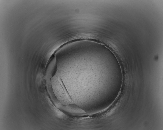 X0000089951081200707061116