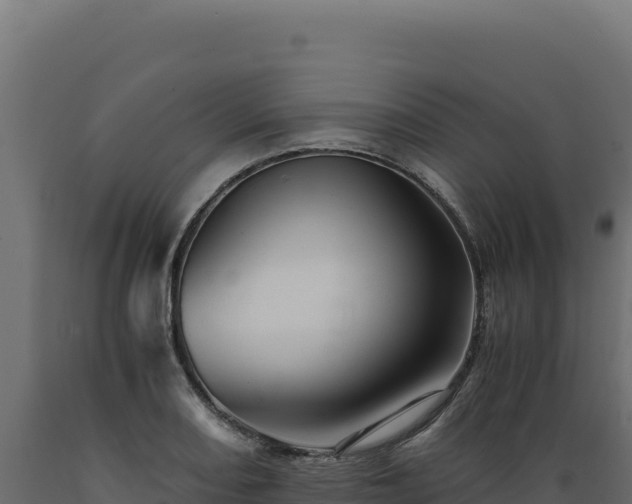 X0000089951082200707061116