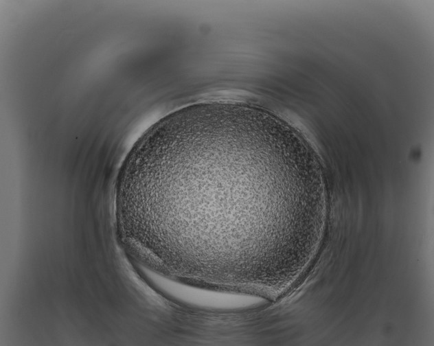 X0000089951083200707061116