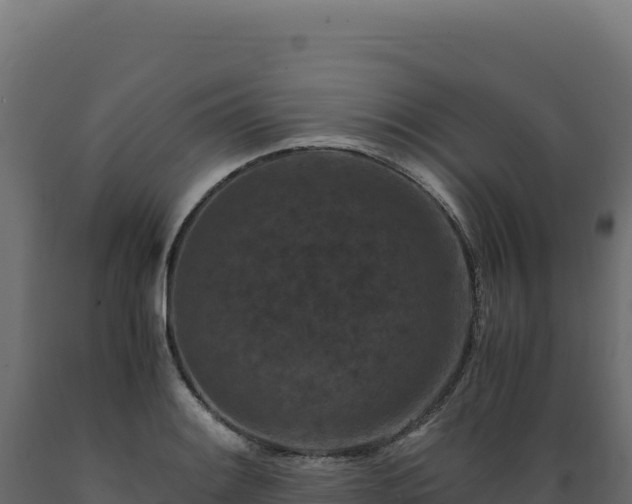 X0000089951084200707061116