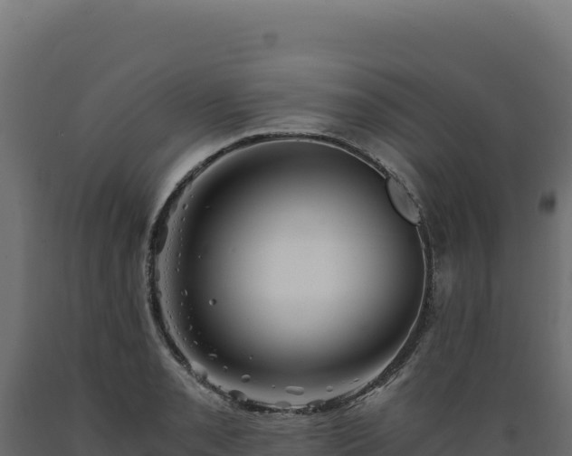 X0000089951085200707061116
