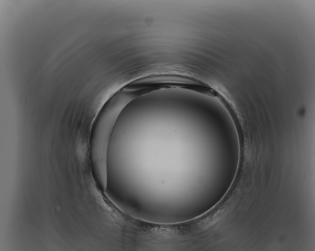 X0000089951089200707061116
