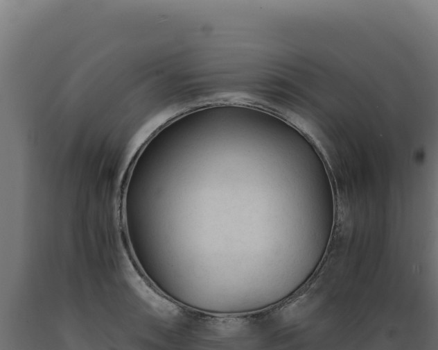 X0000089951090200707061115