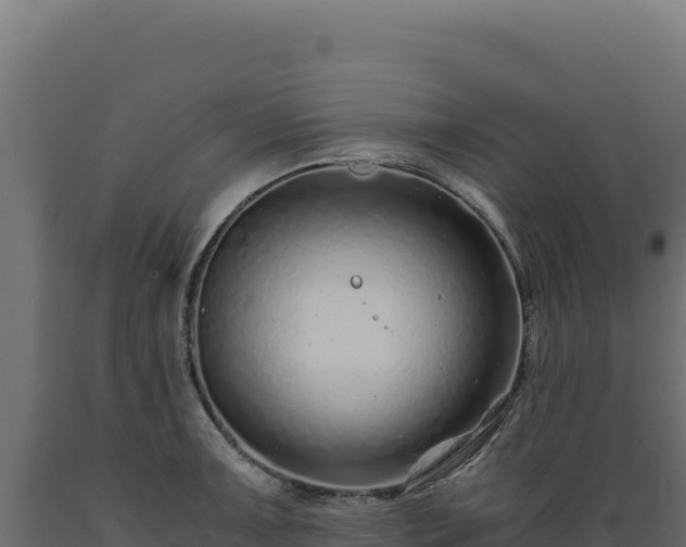 X0000089951091200707061115
