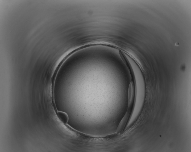 X0000089951092200707061115