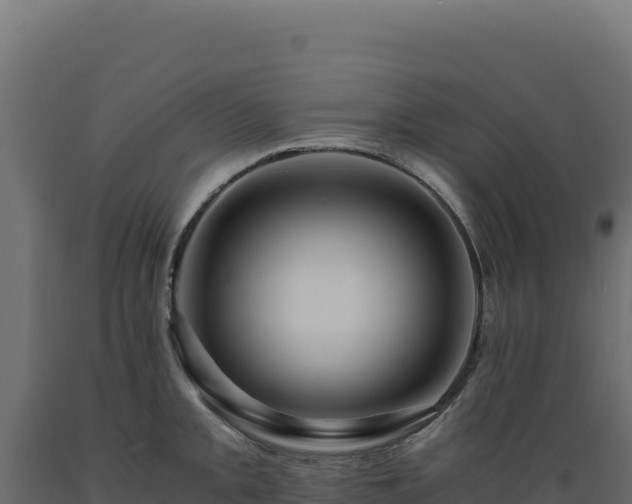 X0000089951093200707061115