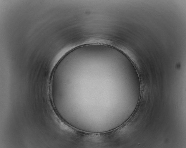 X0000089951094200707061115