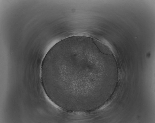 X0000089951095200707061115