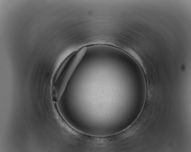 X0000089951096200707061115