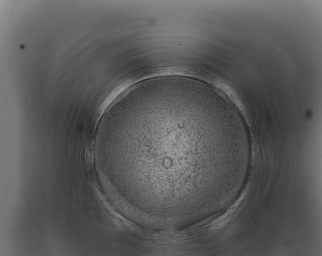 X0000089951097200707061115