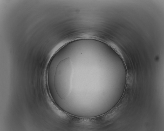 X0000089951098200707061115