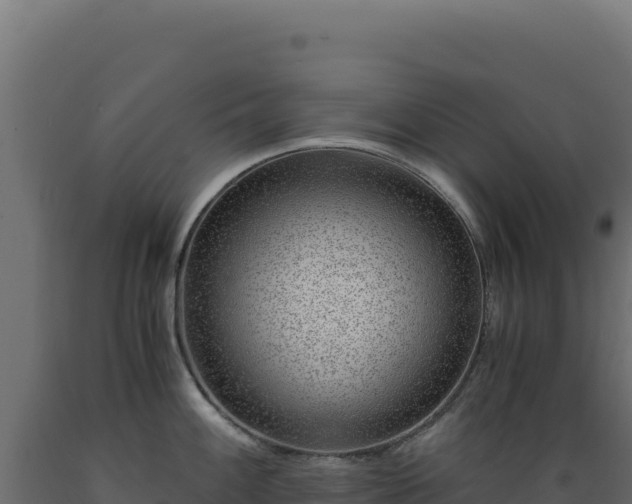 X0000089951100200707061115