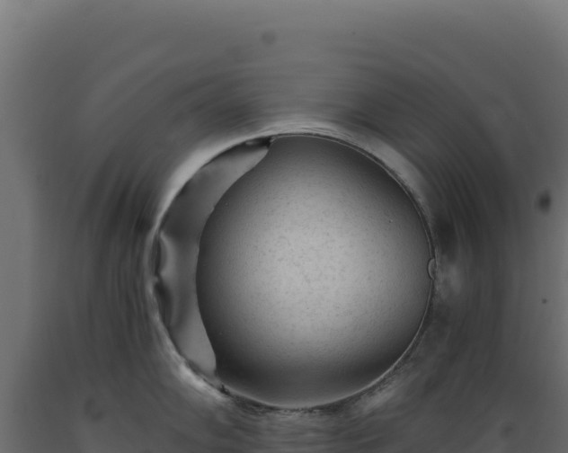 X0000089951102200707061115