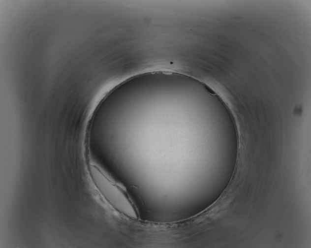 X0000089951104200707061115