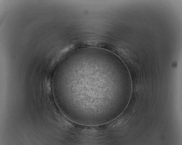 X0000089951106200707061115