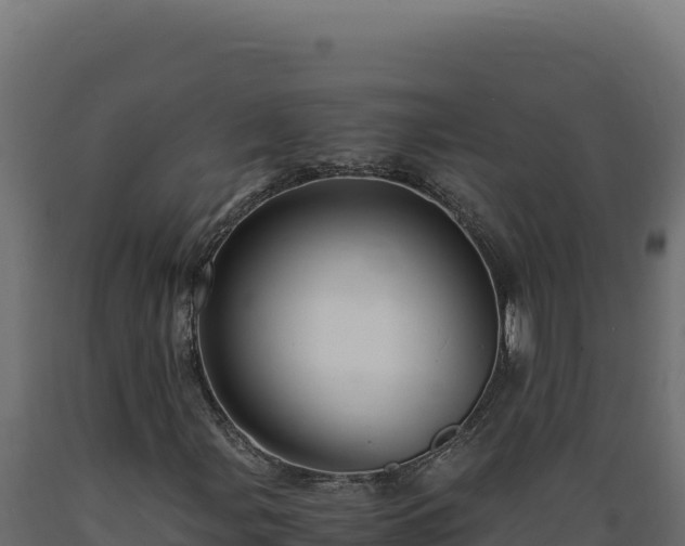 X0000089951107200707061115